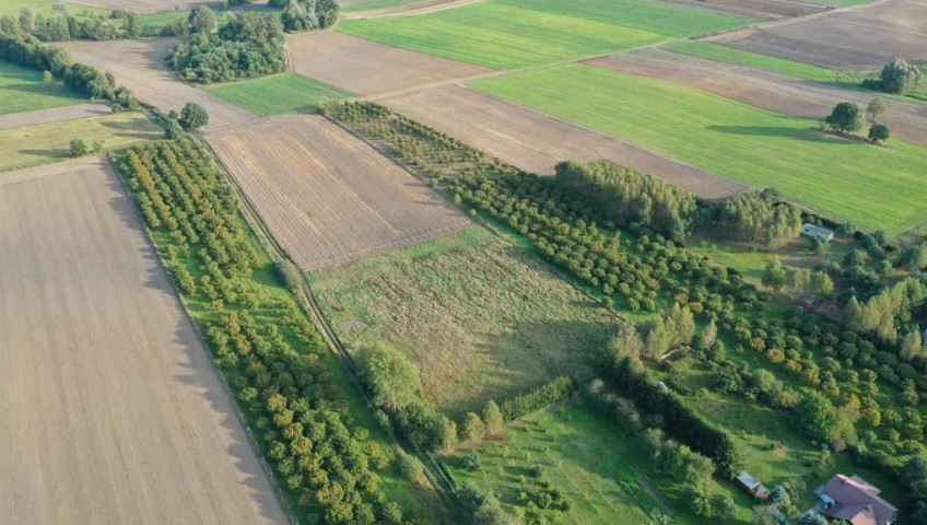 Działka Sprzedaż Imno