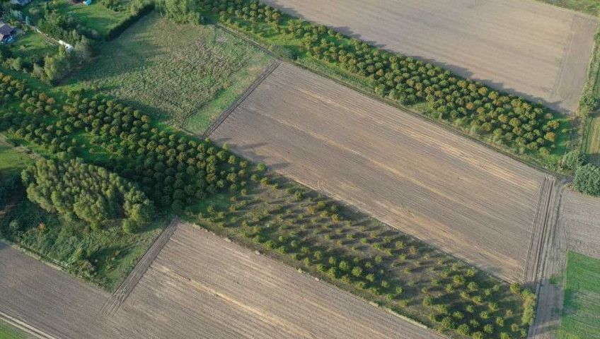 Działka Sprzedaż Imno
