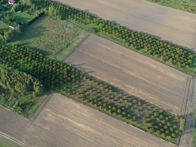 Działka Sprzedaż Imno