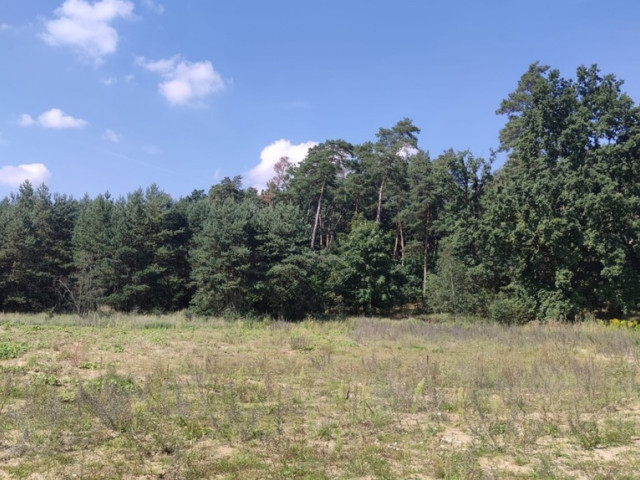 Działka Sprzedaż Kościno