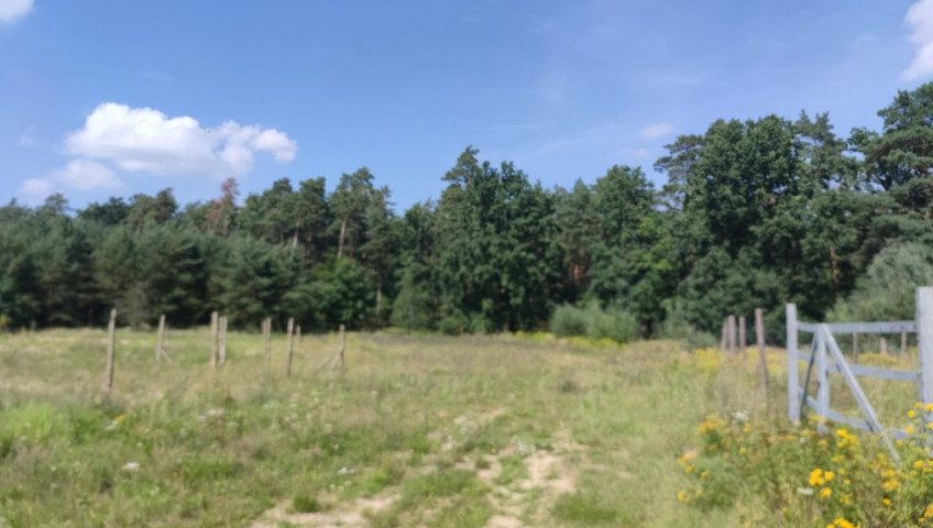 Działka Sprzedaż Kościno
