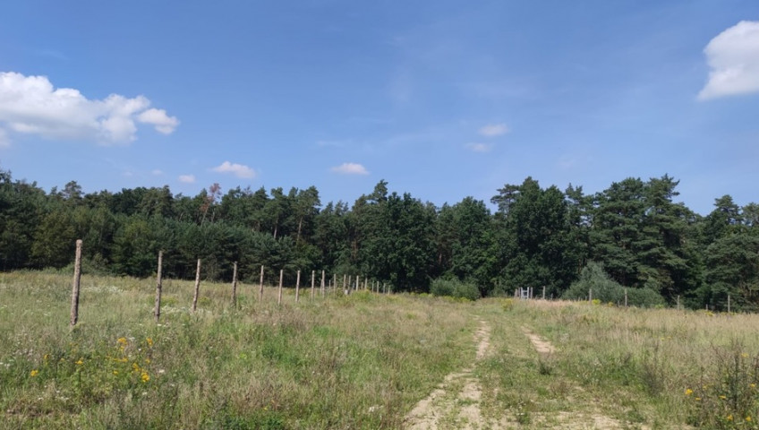 Działka Sprzedaż Kościno