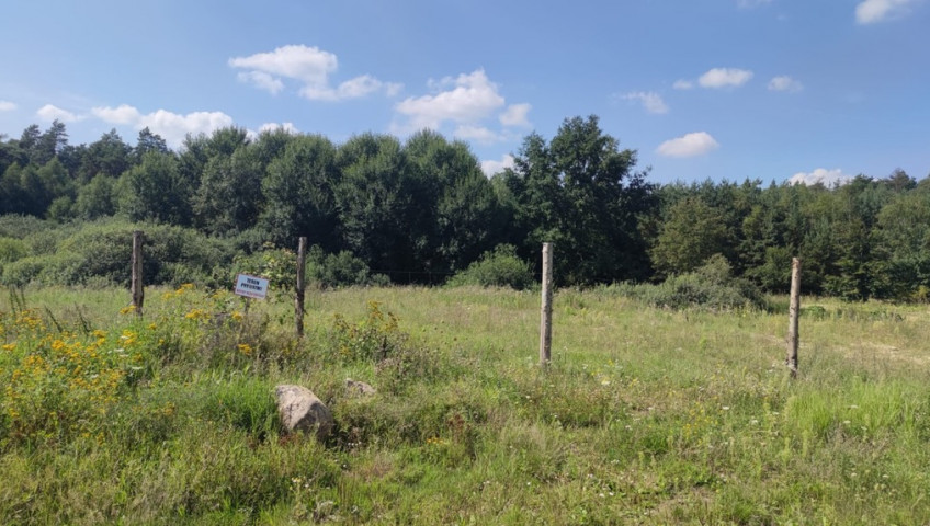 Działka Sprzedaż Kościno