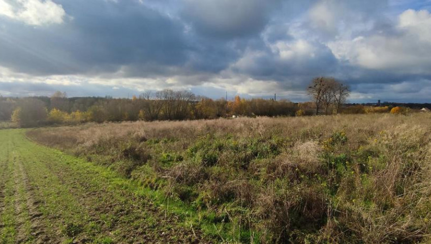 Działka Sprzedaż Goleniów