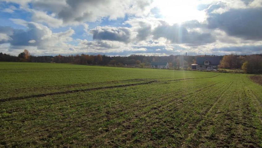 Działka Sprzedaż Goleniów