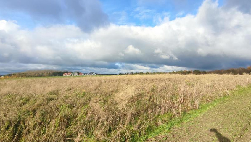 Działka Sprzedaż Goleniów