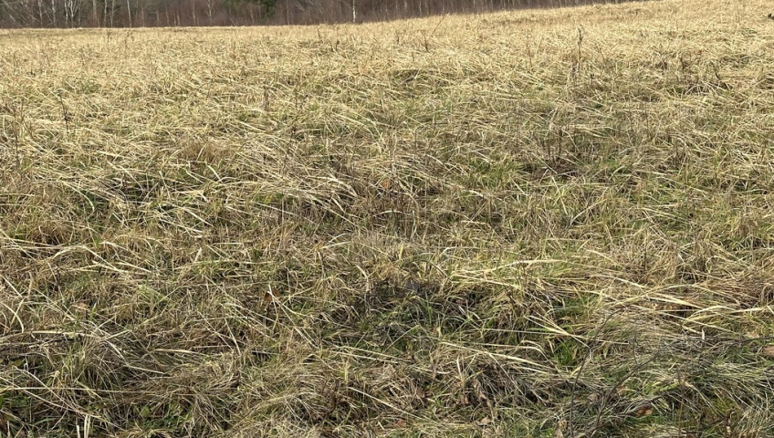 Działka Sprzedaż Storkowo