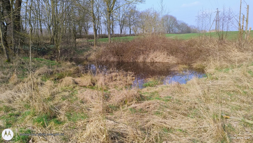Działka Sprzedaż Dębina