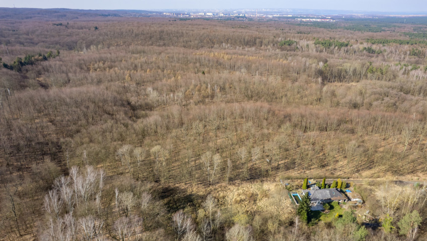 Działka Sprzedaż Szczecin Płonia