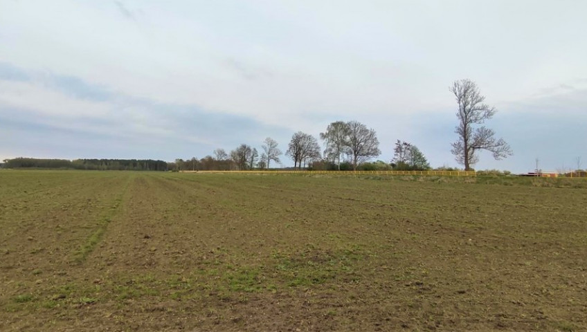 Działka Sprzedaż Lubczyna