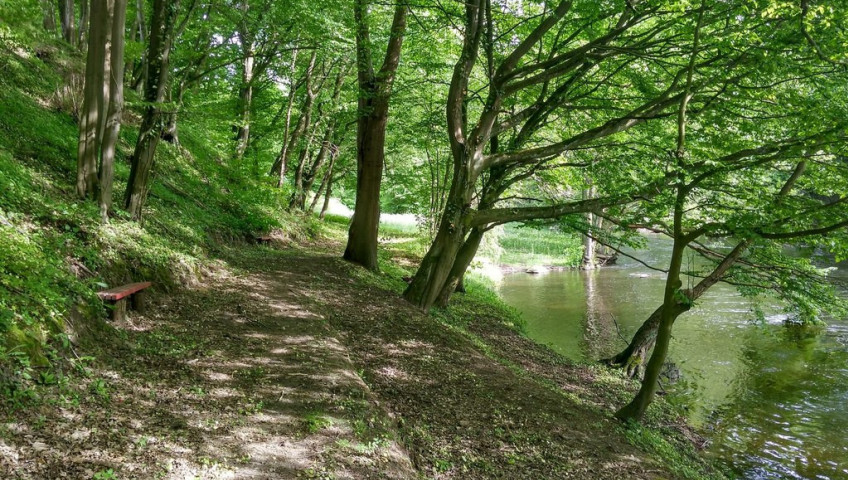 Działka Sprzedaż Barnimie