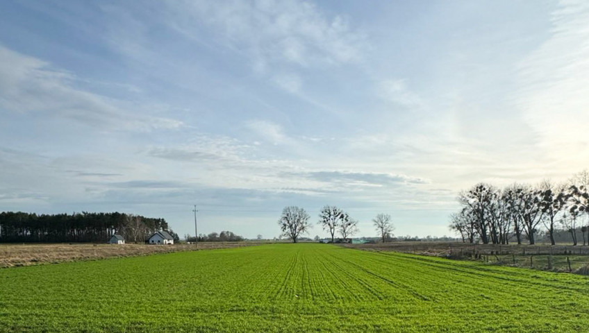 Działka Sprzedaż Borzysławiec