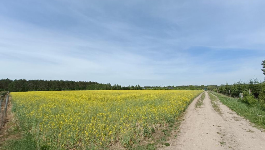 Działka Sprzedaż Stawno