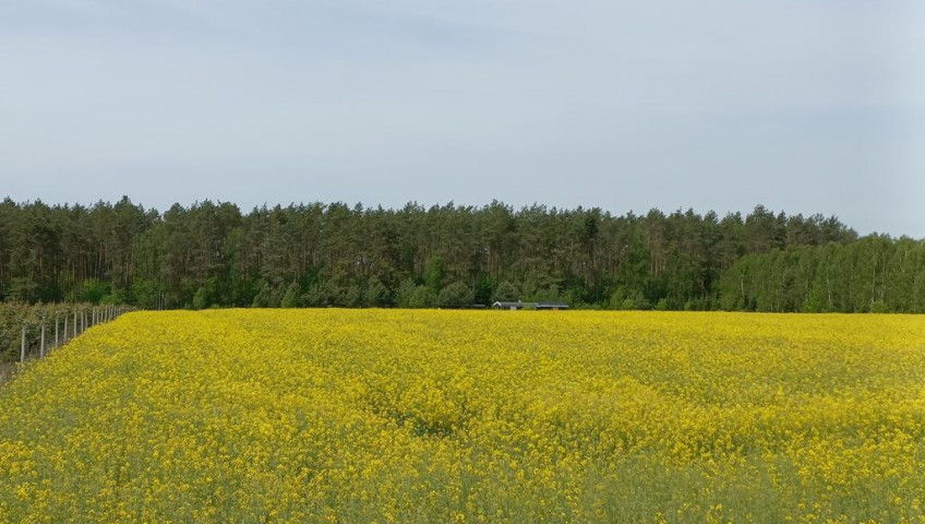 Działka Sprzedaż Stawno
