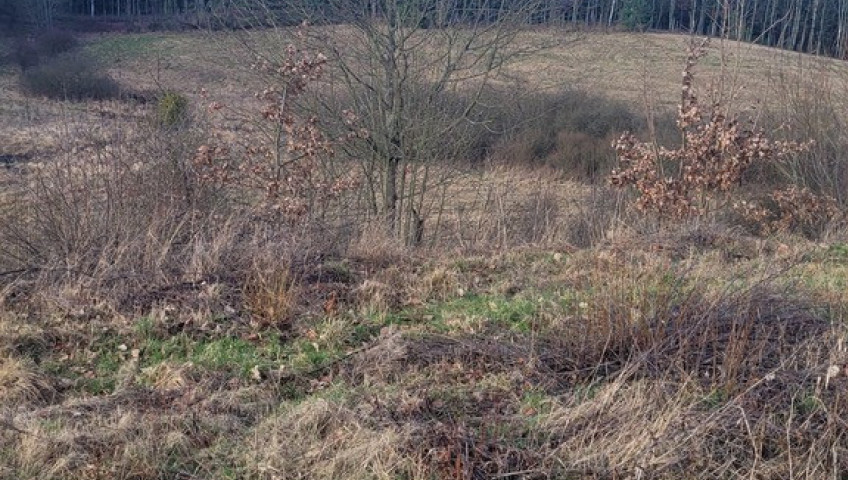 Działka Sprzedaż Zieleniewo