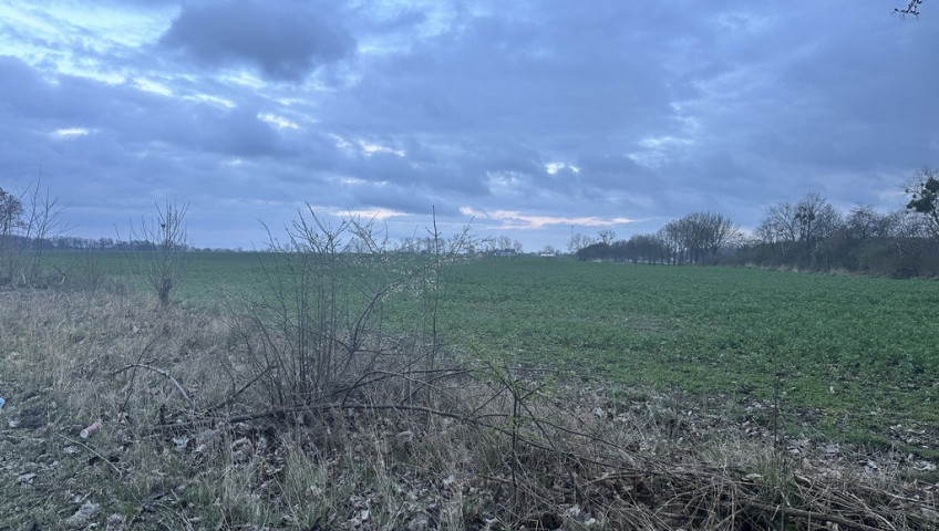 Działka Sprzedaż Ryszewko