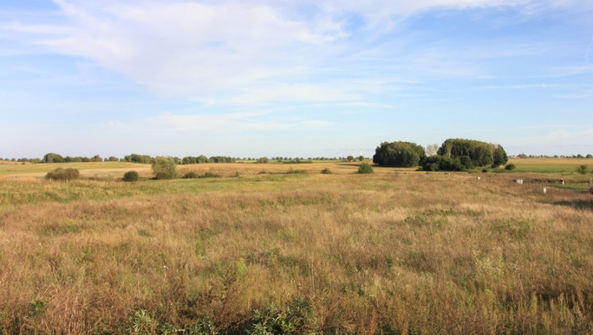 Działka Sprzedaż Gleźno