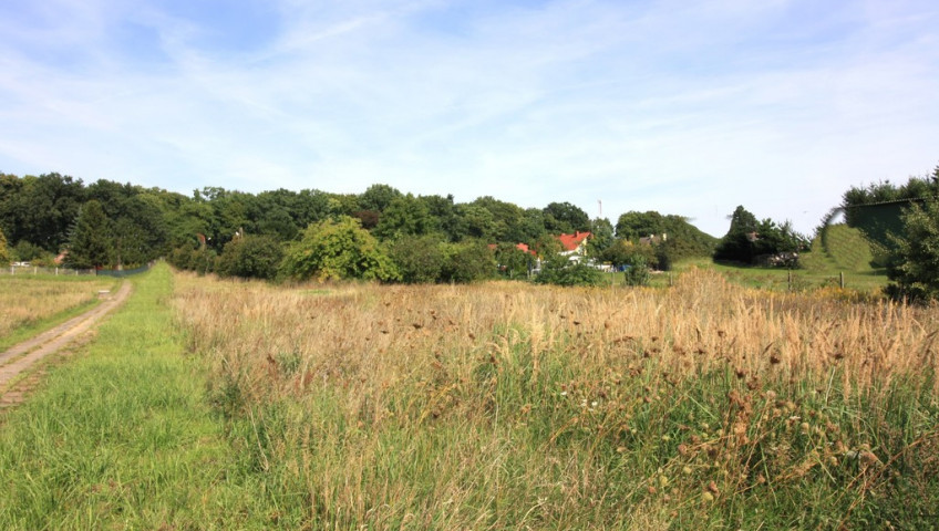 Działka Sprzedaż Ińsko