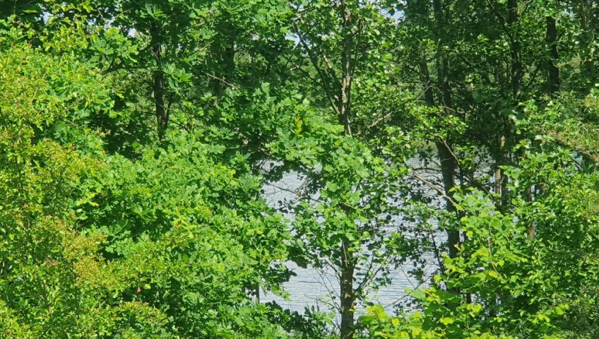 Działka Sprzedaż Zieleniewo