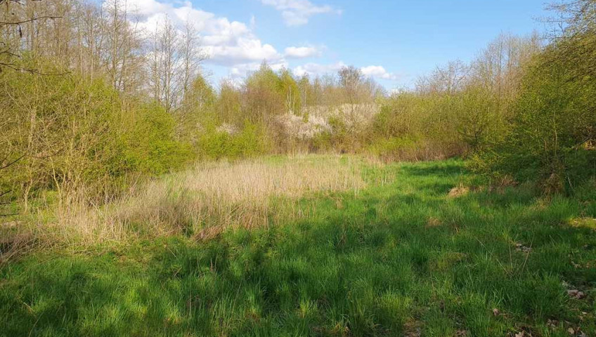 Działka Sprzedaż Zieleniewo