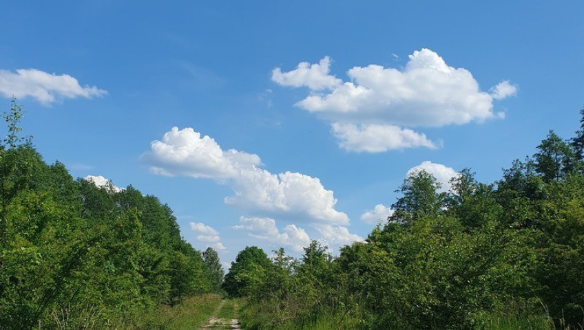 Działka Sprzedaż Zieleniewo