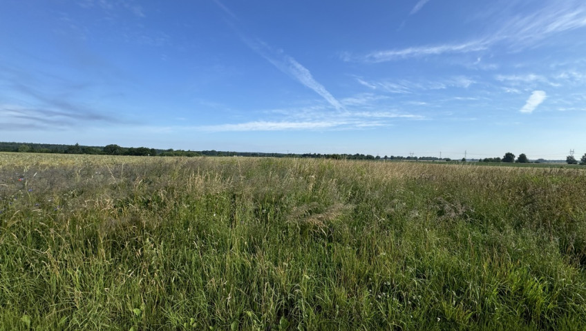 Działka Sprzedaż Goleniów