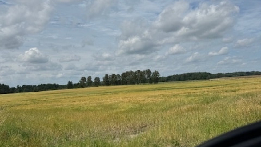 Działka Sprzedaż Dobropole