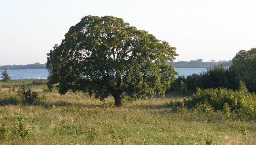 Działka Sprzedaż Kamień Pomorski